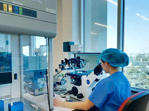 IVF Laboratory